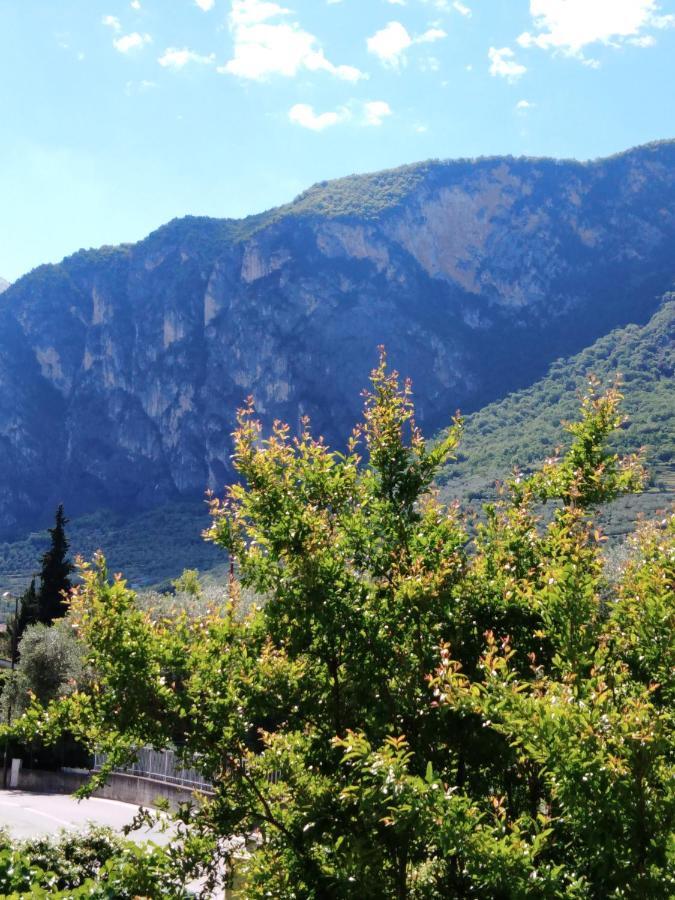Casa Akira Apartment Riva del Garda Ngoại thất bức ảnh